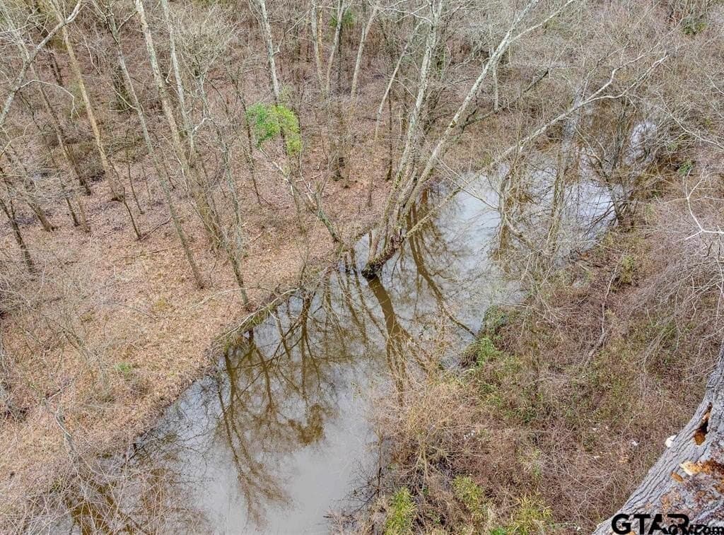 24.13 acres in Camp County - photo 3
