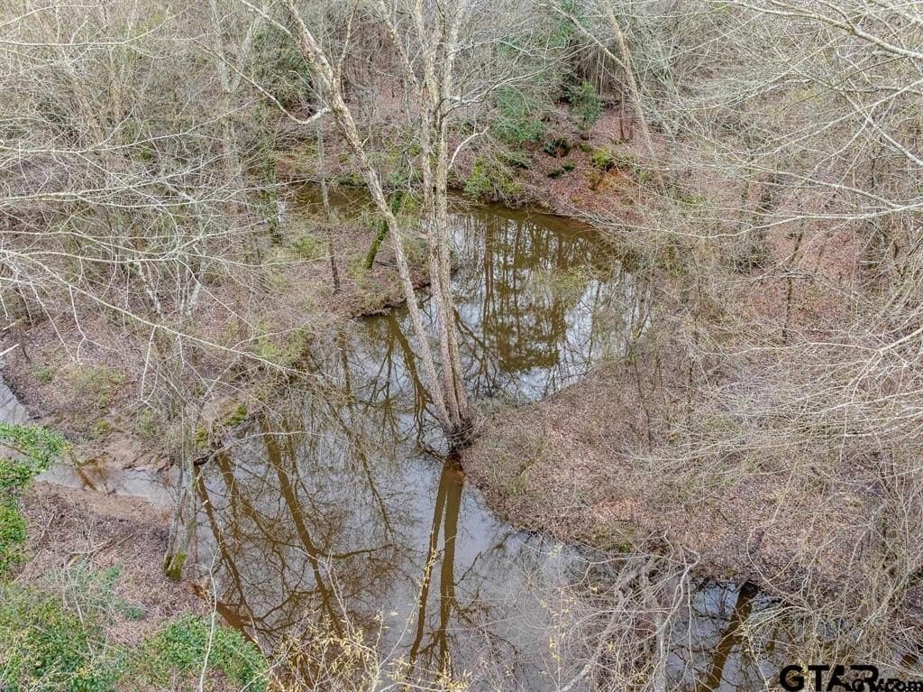 24.13 acres in Camp County - photo 7