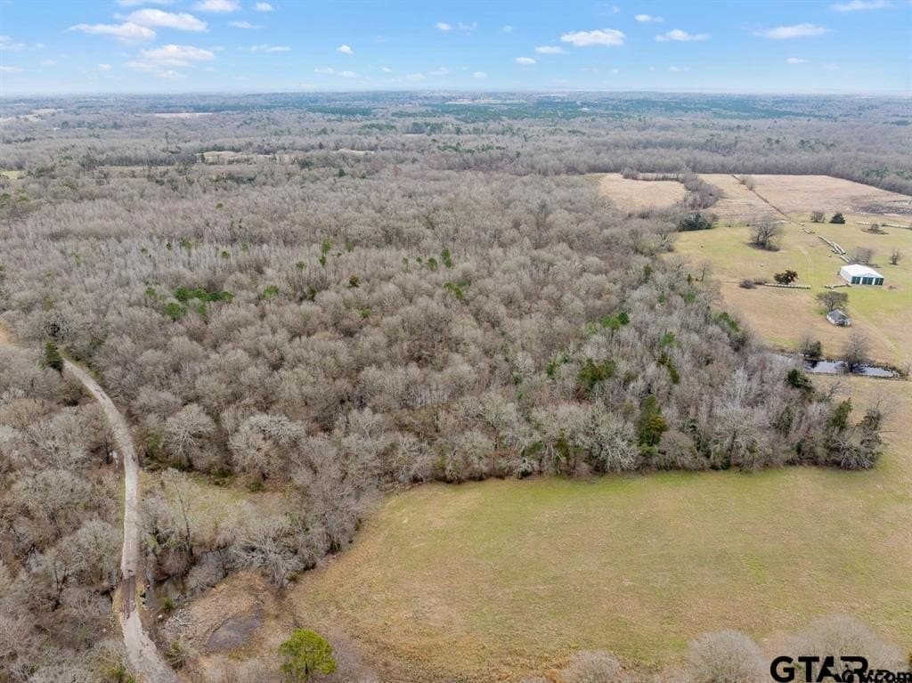 24.13 acres in Camp County - photo 6
