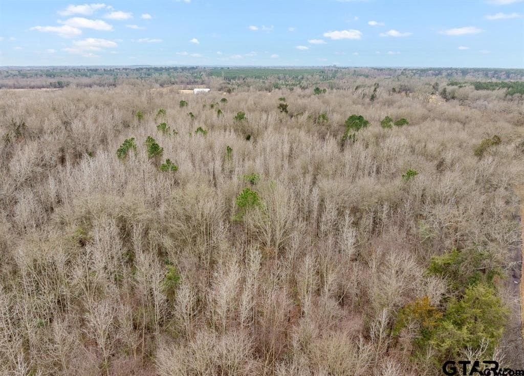 24.13 acres in Camp County - photo 8