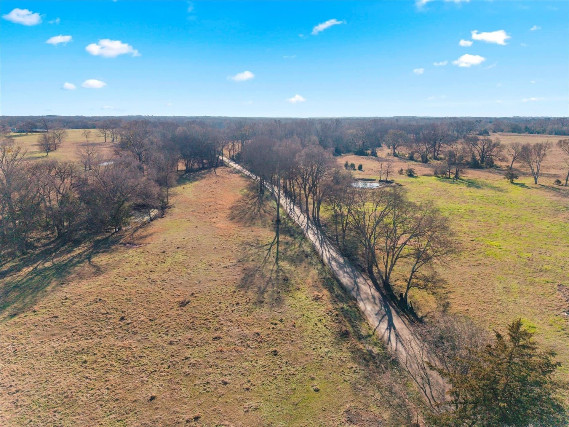 10 acres in Texas County - photo 13