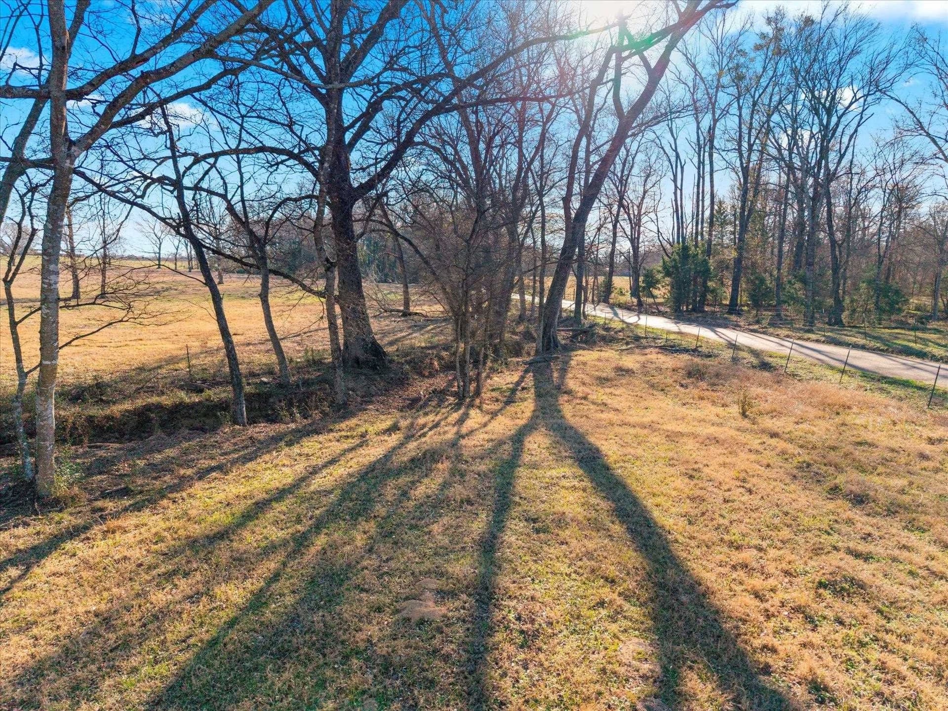 10 acres in Texas County - photo 5