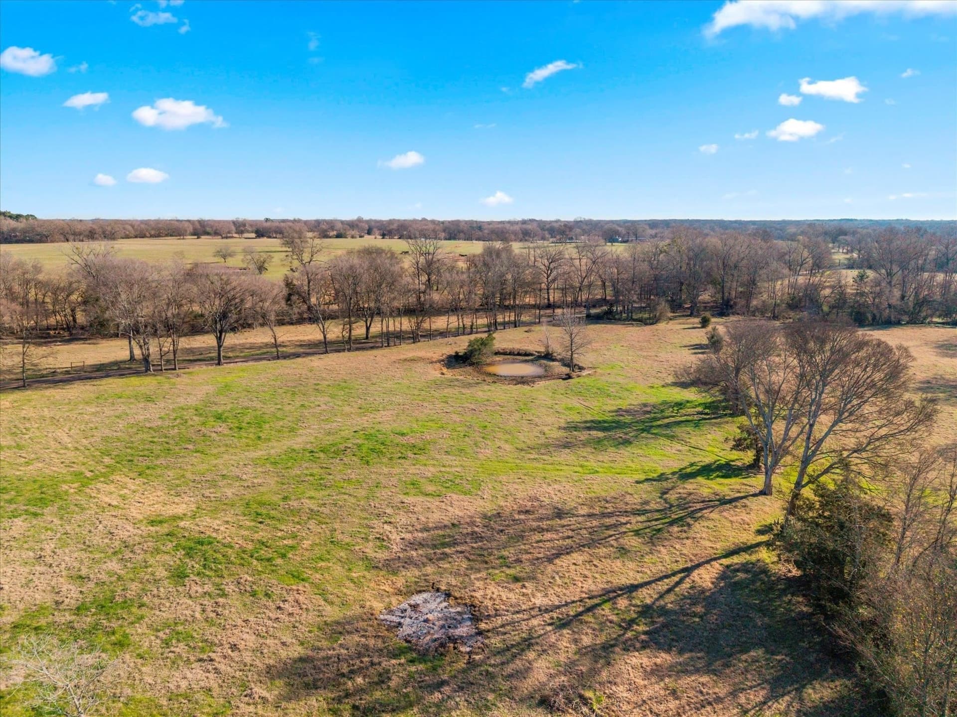 10 acres in Texas County - photo 3