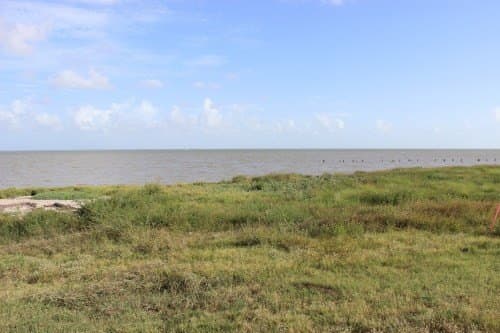 0.18 acres in Texas County - photo 6