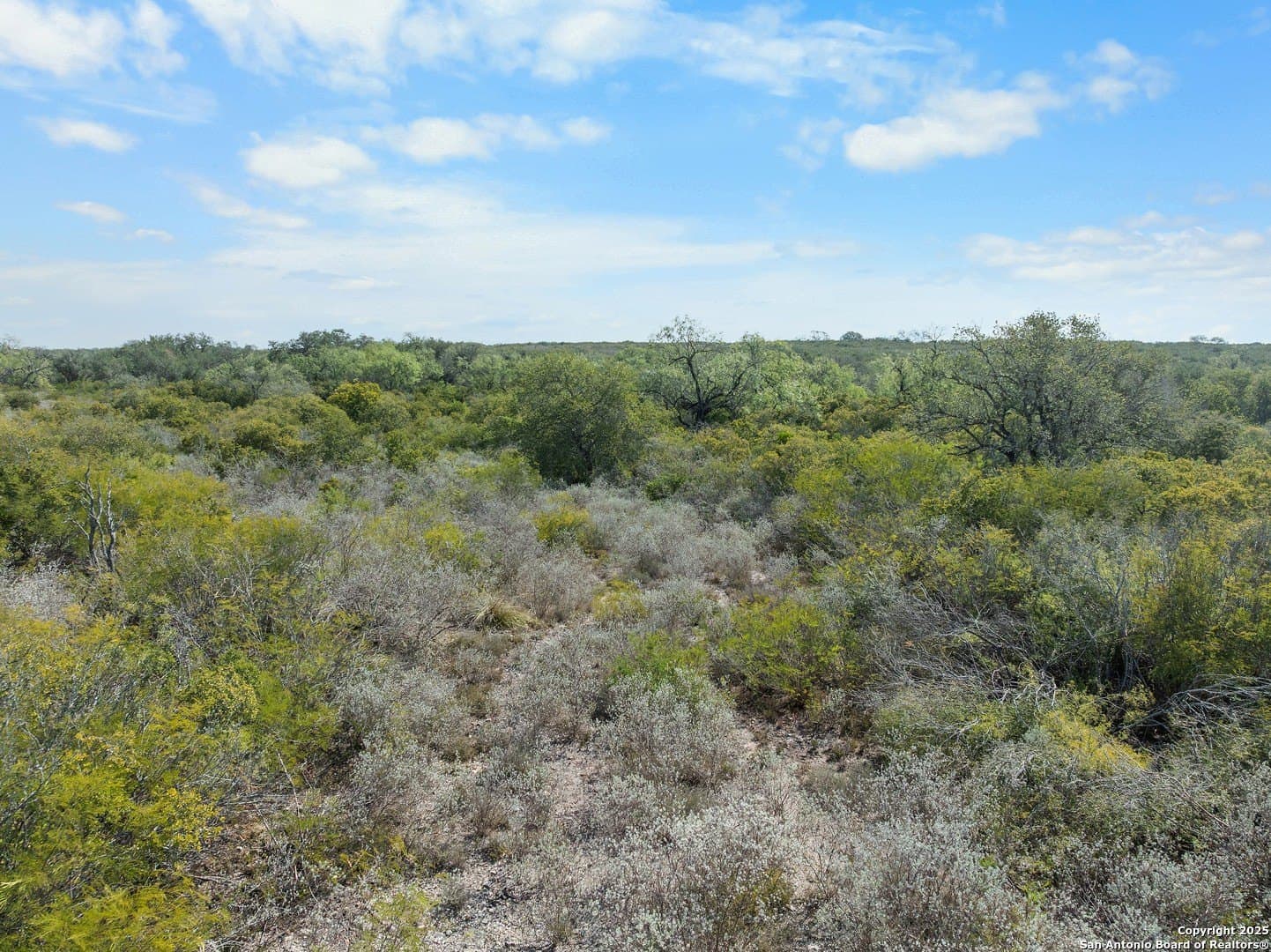 32.63 acres in Live Oak County - photo 14