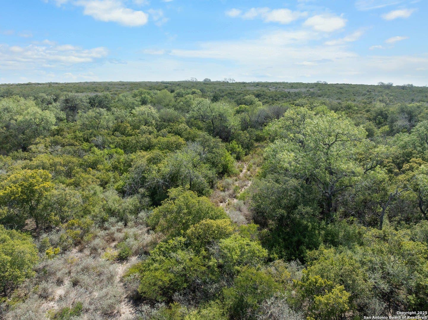 32.63 acres in Live Oak County - photo 15