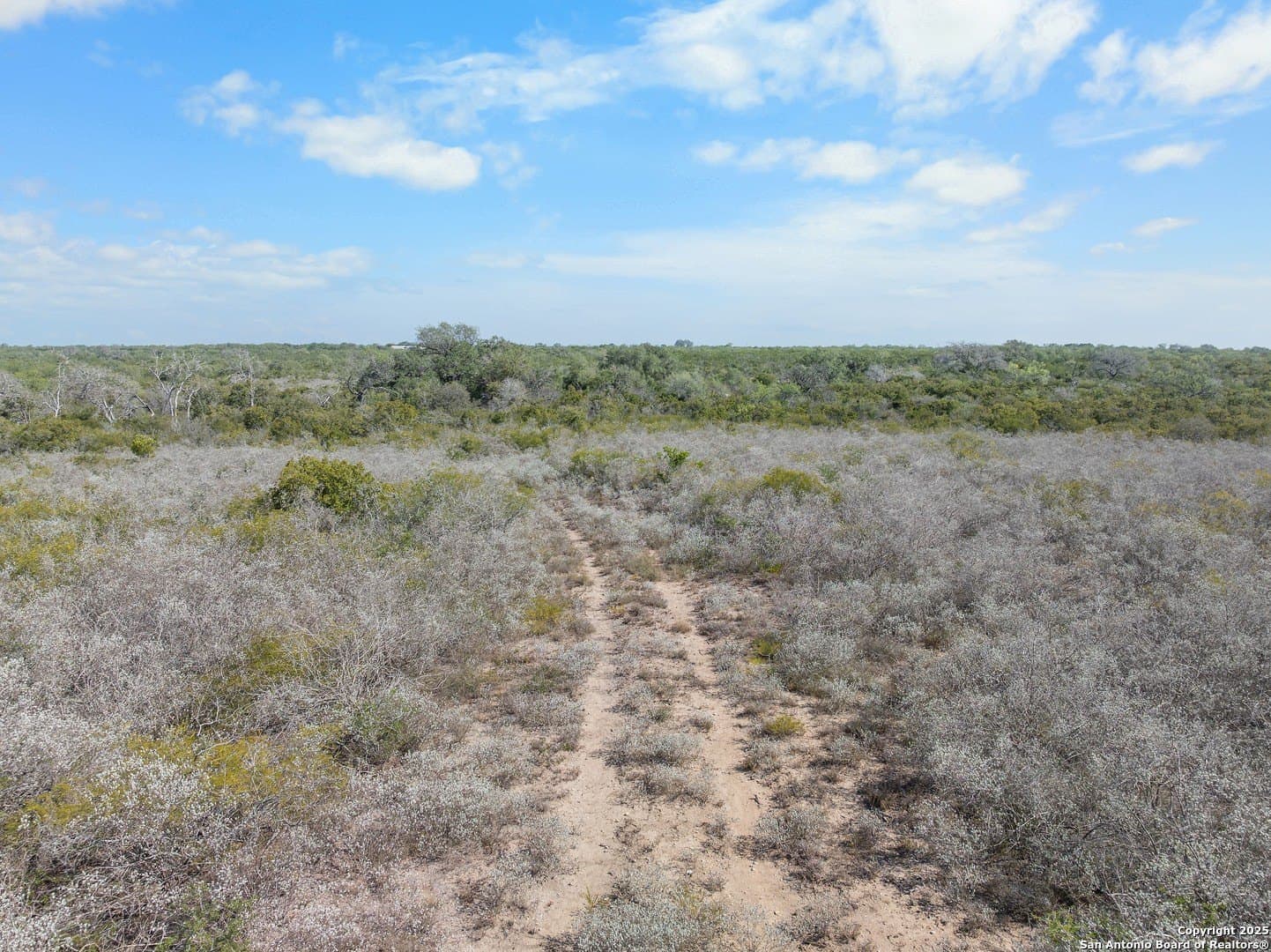 32.63 acres in Live Oak County - photo 4
