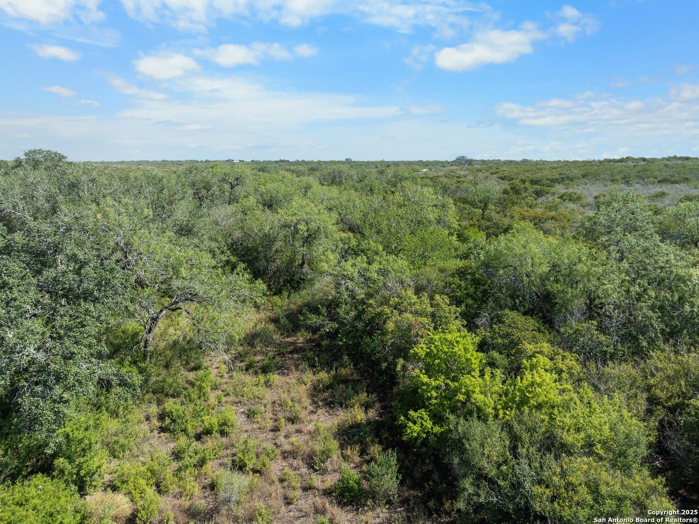 32.63 acres in Live Oak County - photo 17