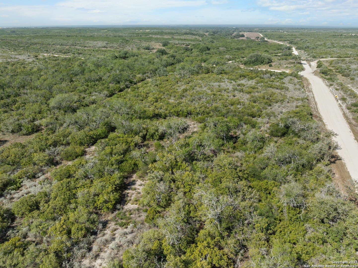 32.63 acres in Live Oak County - photo 11