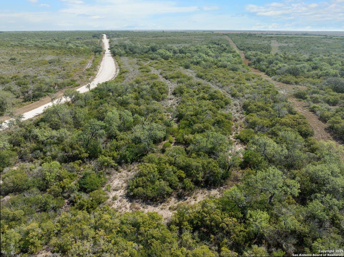32.63 acres in Live Oak County - photo 13