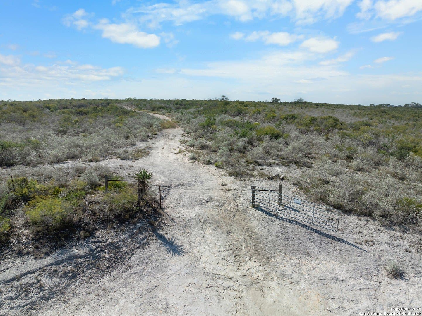 32.63 acres in Live Oak County - photo 2