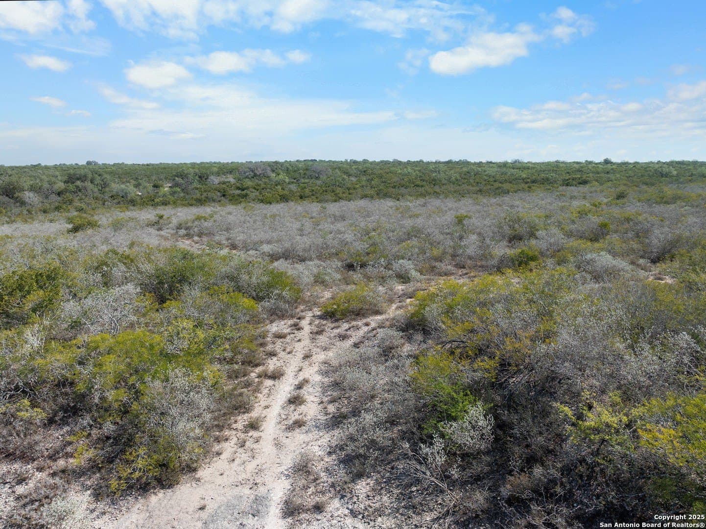 32.63 acres in Live Oak County - photo 3
