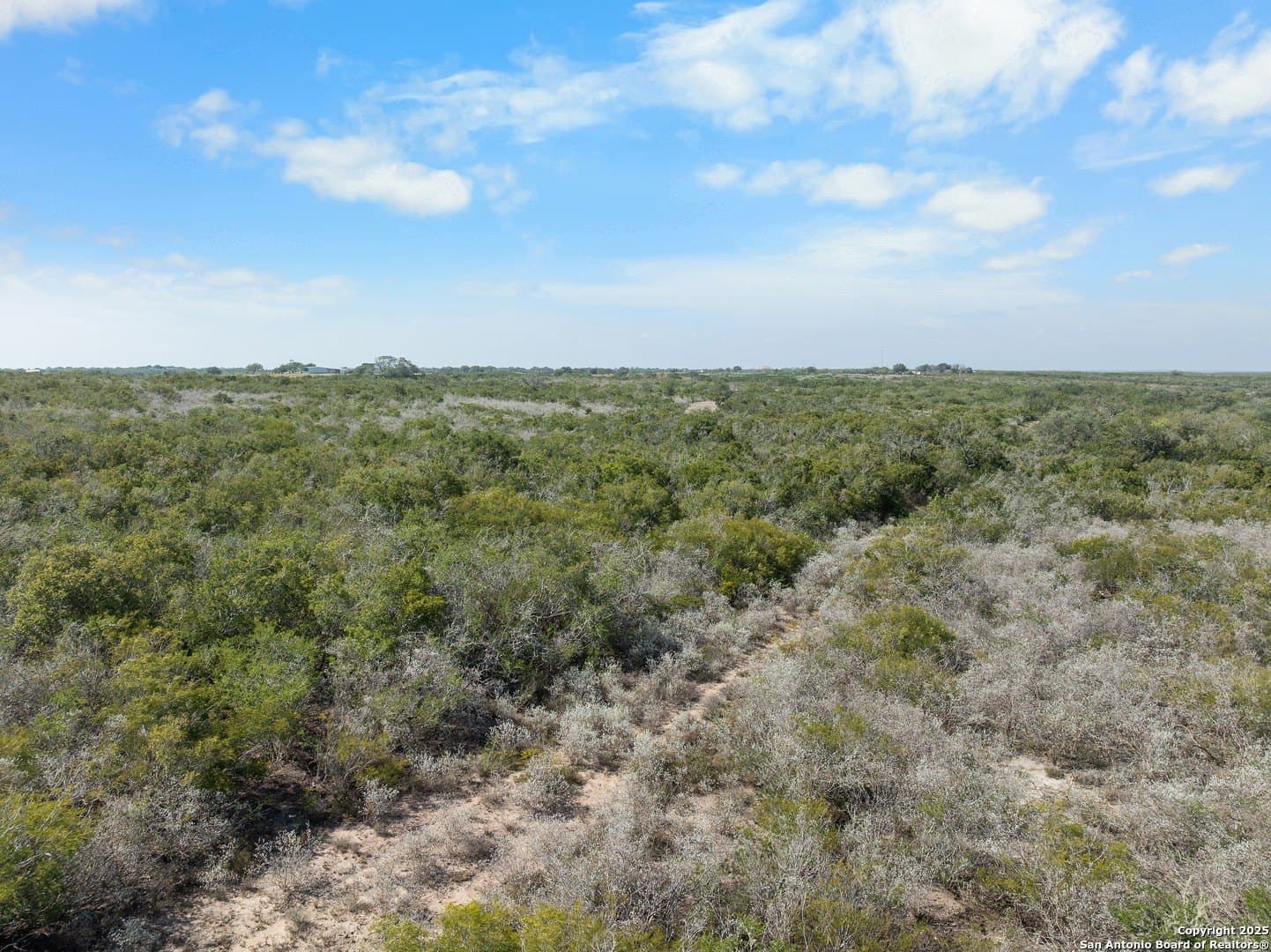 32.63 acres in Live Oak County - photo 7