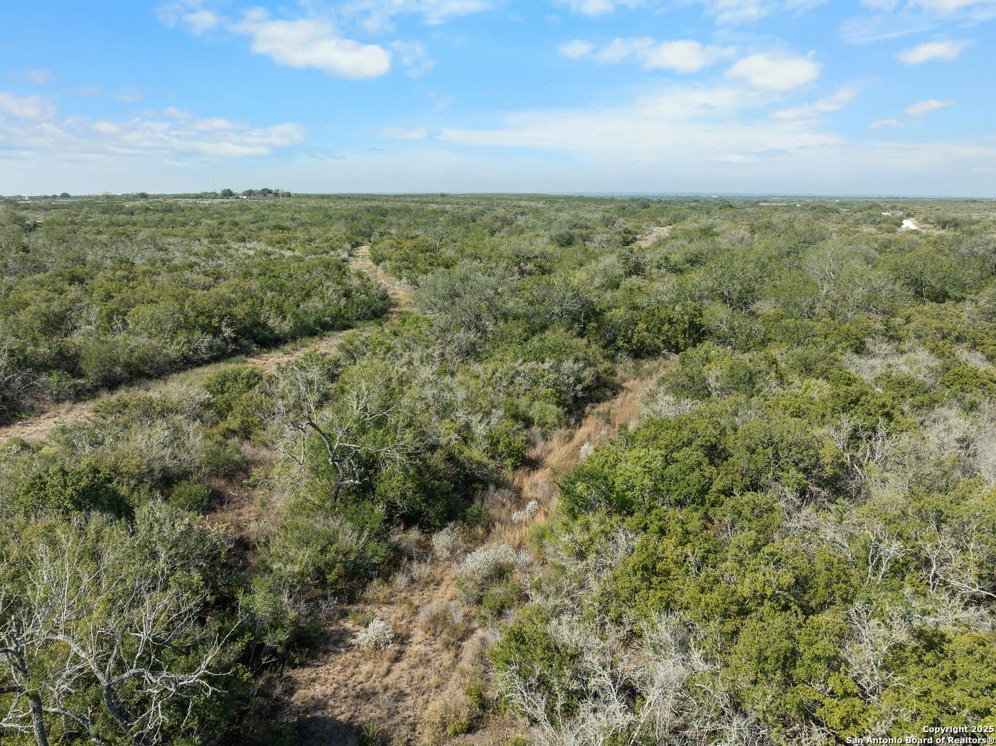 32.63 acres in Live Oak County - photo 8