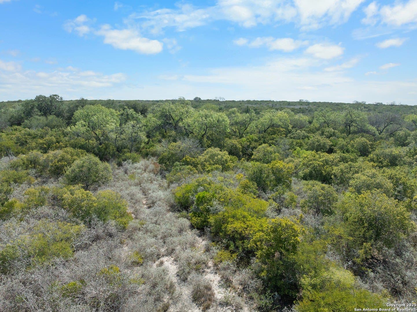 32.63 acres in Live Oak County - photo 10