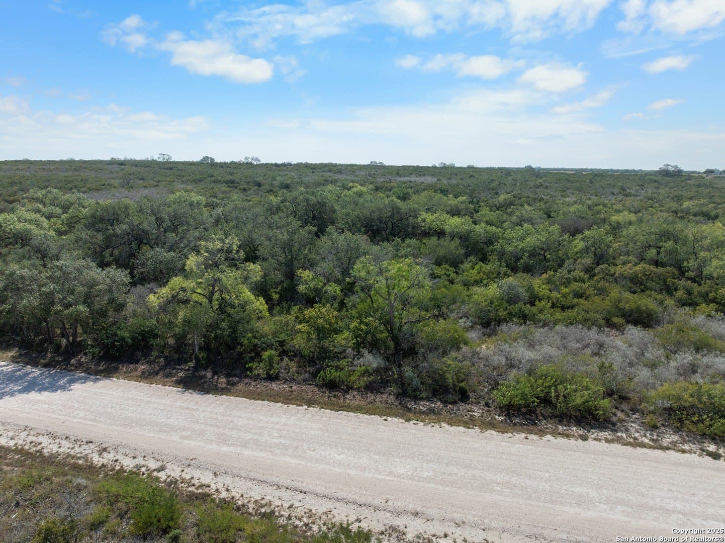 32.63 acres in Live Oak County - photo 9