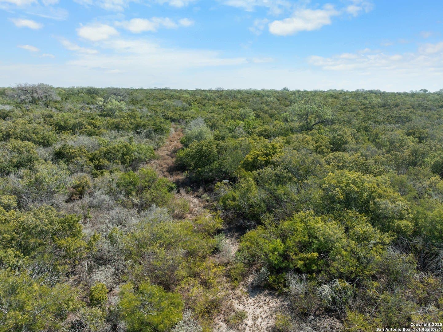 32.63 acres in Live Oak County - photo 5