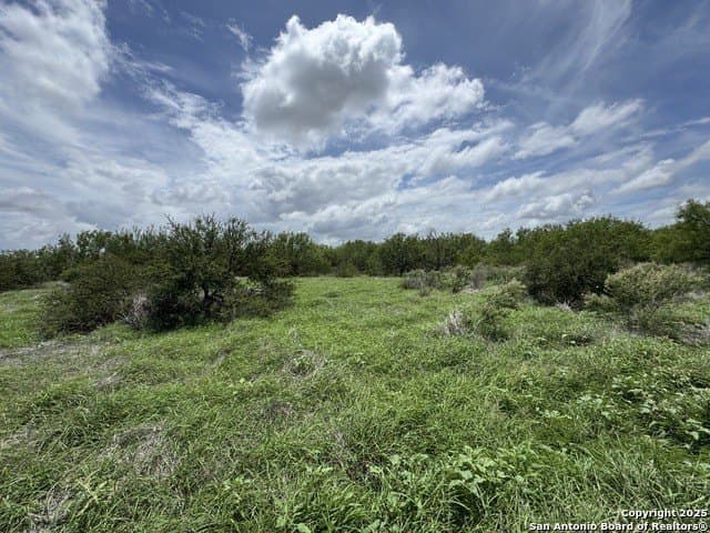 30.3 acres in Zavala County - photo 18