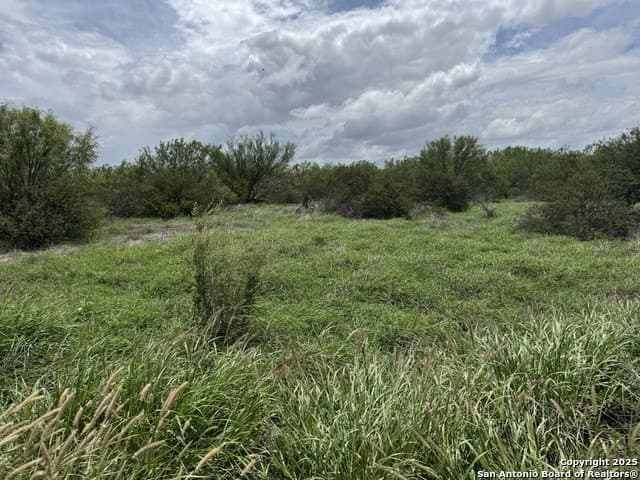 30.3 acres in Zavala County - photo 17