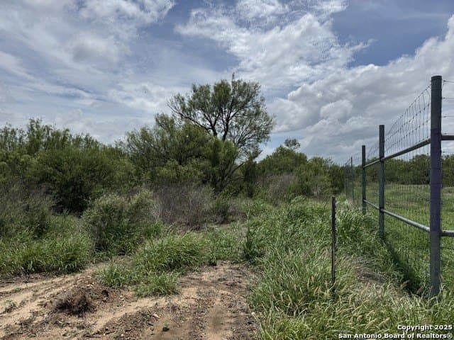 30.3 acres in Zavala County - photo 12