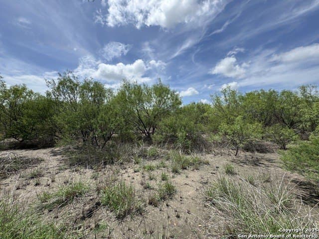 30.3 acres in Zavala County - photo 9