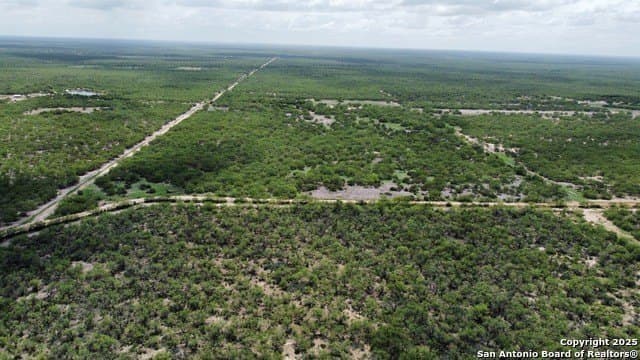 30.3 acres in Zavala County - photo 26