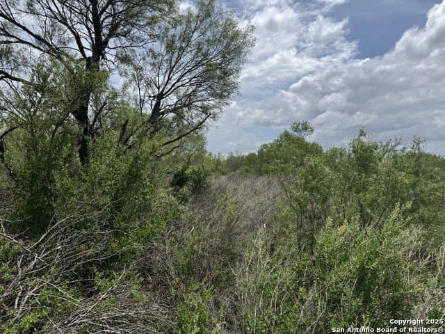 30.3 acres in Zavala County - photo 10