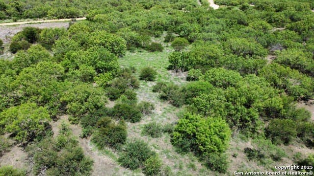 30.3 acres in Zavala County - photo 28