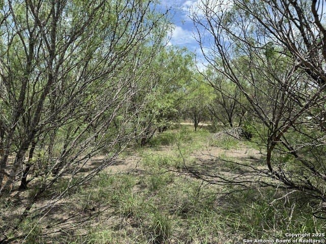 30.3 acres in Zavala County - photo 7