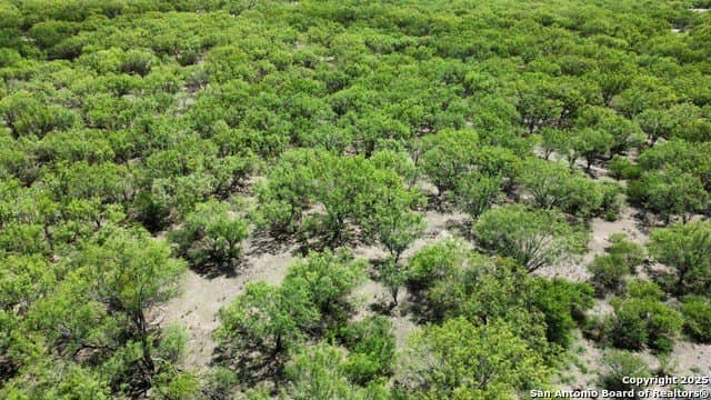 30.3 acres in Zavala County - photo 27