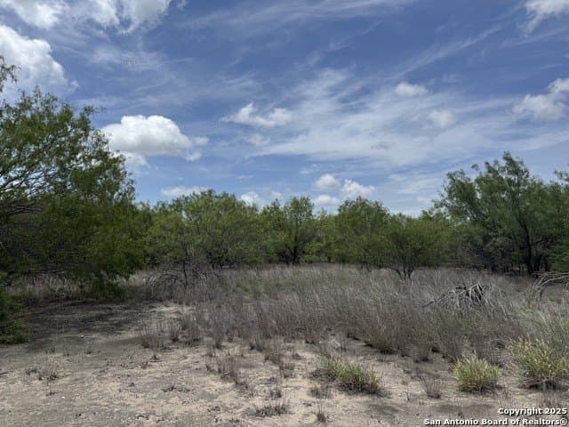 30.3 acres in Zavala County - photo 20