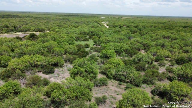 30.3 acres in Zavala County - photo 29