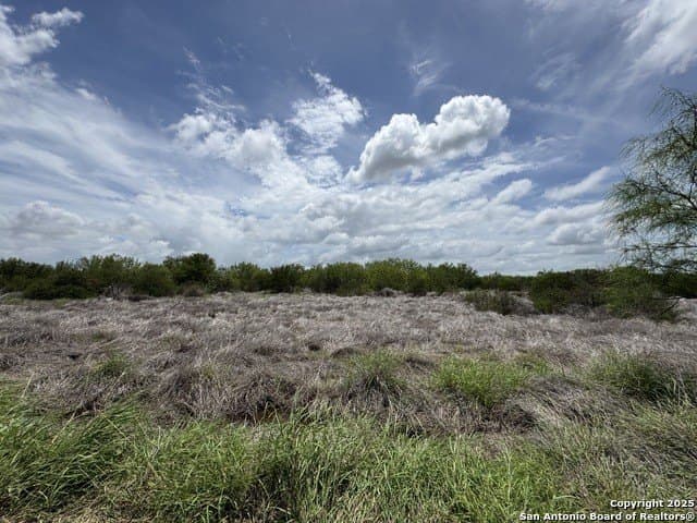 30.3 acres in Zavala County - photo 16