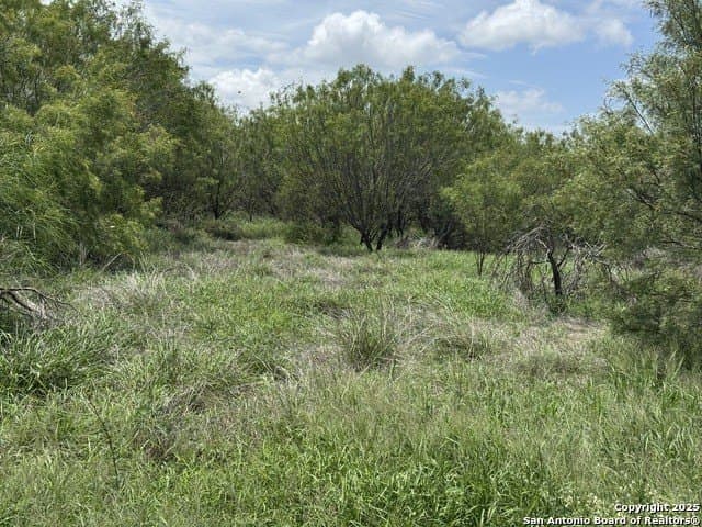 30.3 acres in Zavala County - photo 11