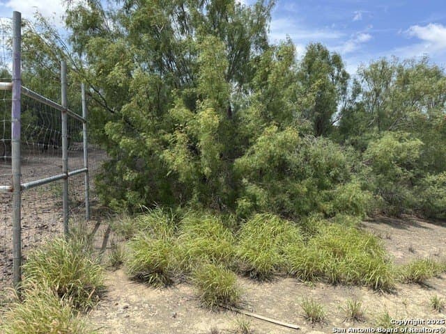 30.3 acres in Zavala County - photo 19