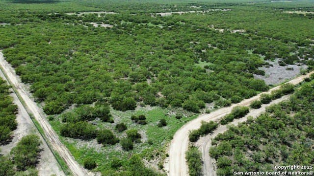 30.3 acres in Zavala County - photo 21