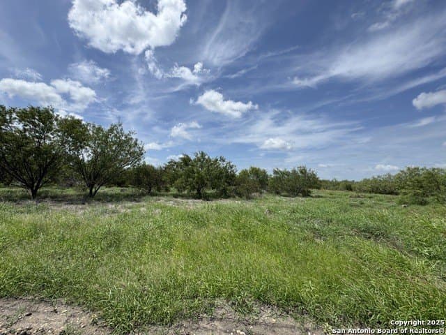 30.3 acres in Zavala County - photo 4