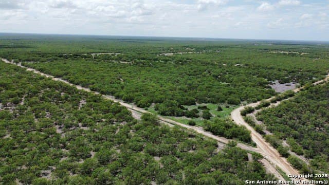 30.3 acres in Zavala County - photo 23