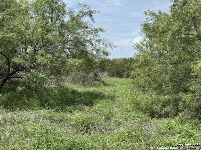 30.3 acres in Zavala County - photo 8