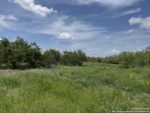 30.3 acres in Zavala County - photo 5