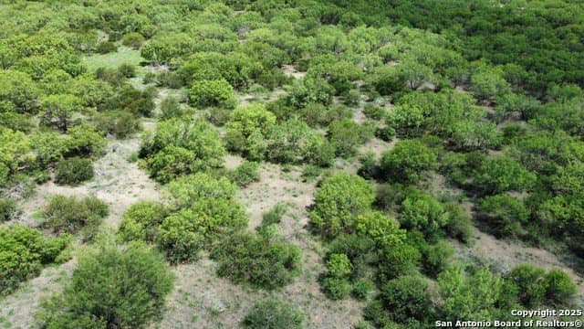 30.3 acres in Zavala County - photo 30