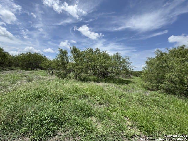 30.3 acres in Zavala County - photo 14