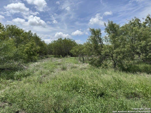 30.3 acres in Zavala County - photo 13