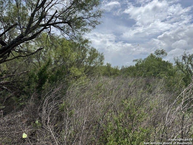 30.3 acres in Zavala County - photo 15