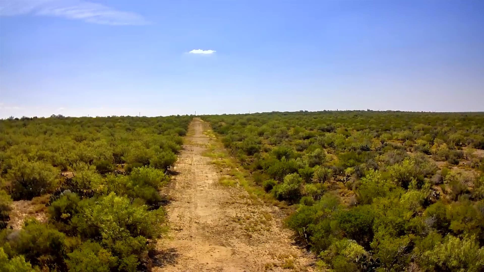 26.32 acres in ZAPATA County - photo 11