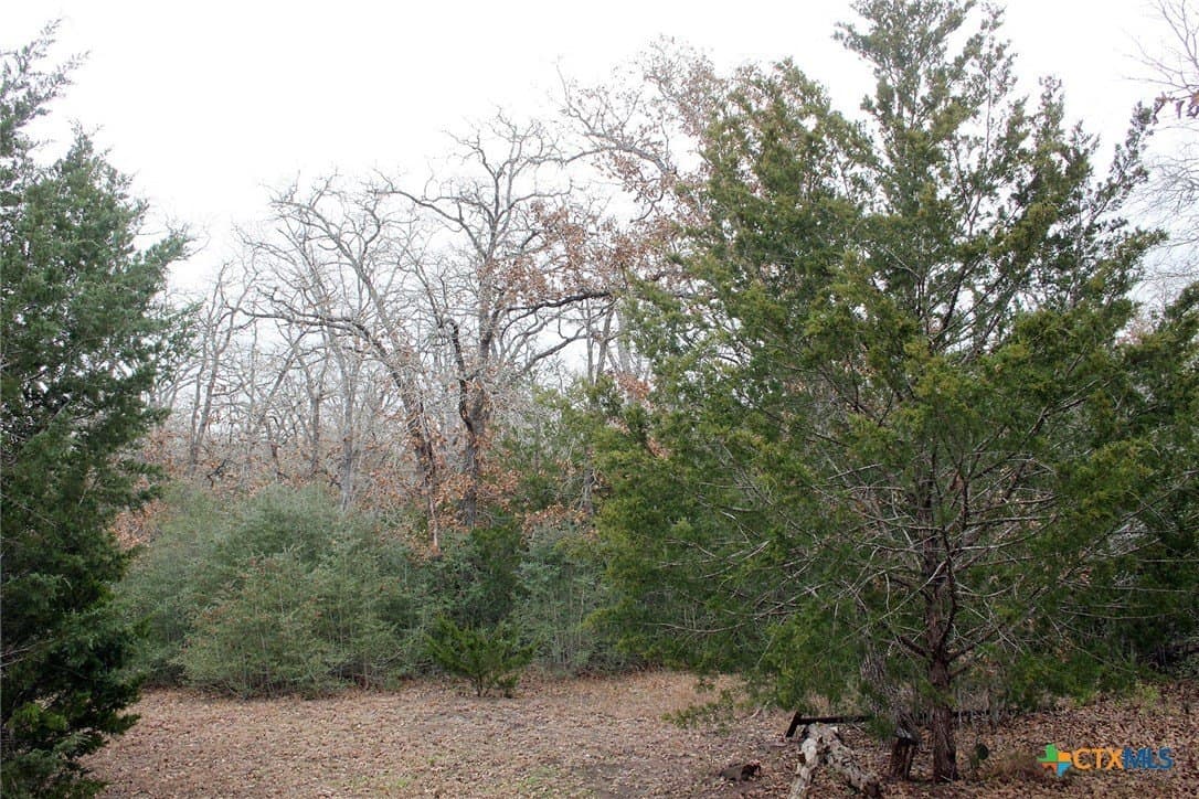 5.62 acres in Caldwell County - photo 3