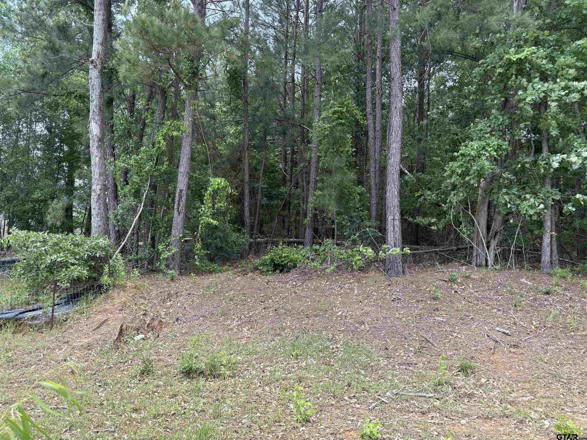 0.4 acres in Smith County - photo 5