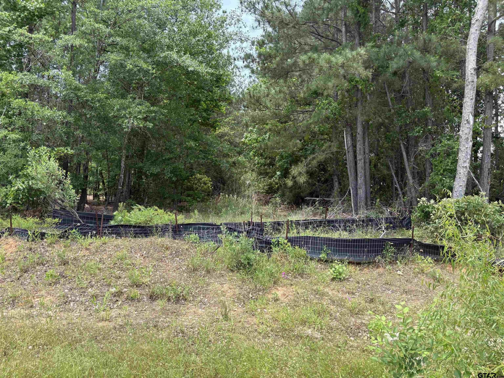 0.4 acres in Smith County - photo 8