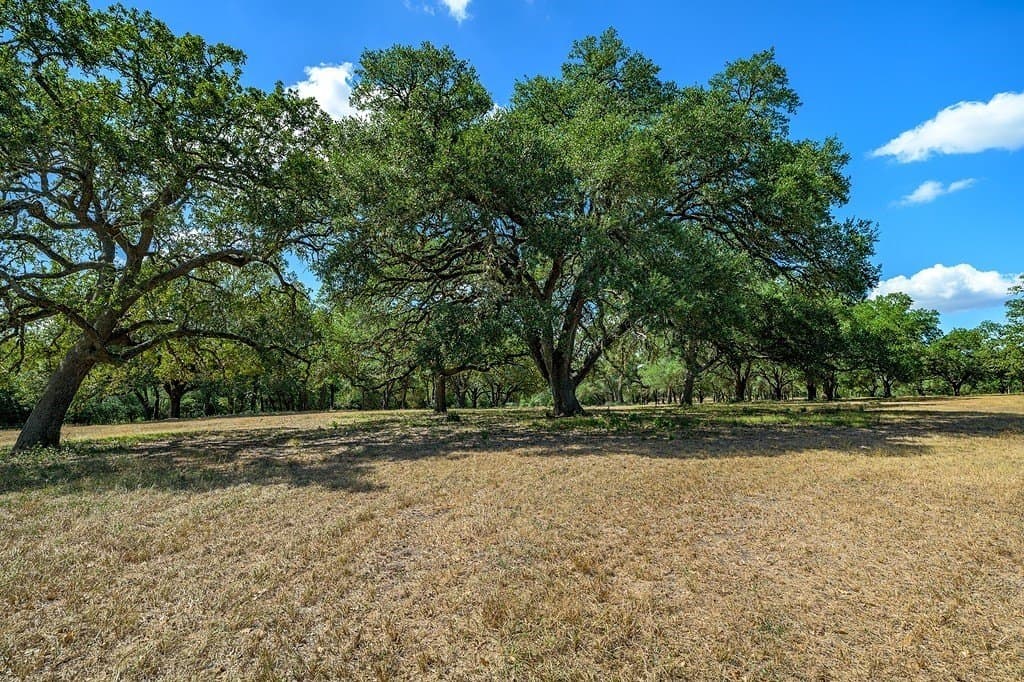 57.46 acres in Fayette County - photo 6