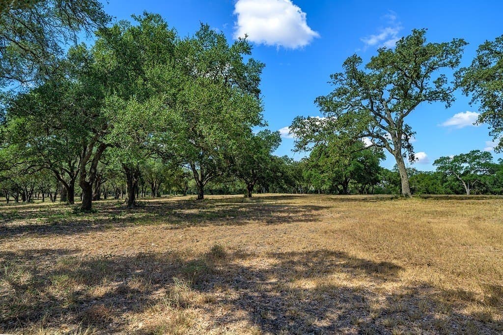 57.46 acres in Fayette County - photo 7
